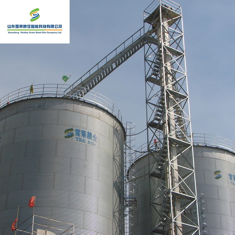 High Quality Tdtg Series Bulk Grain Bucket Elevator Conveying System