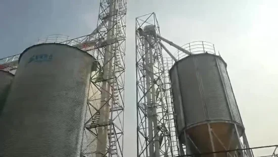 中国シェリー工場カスタマイズされたバケットエレベーター穀物エレベーターローディングシステム